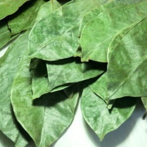 Dried Wild Soursop Leaves